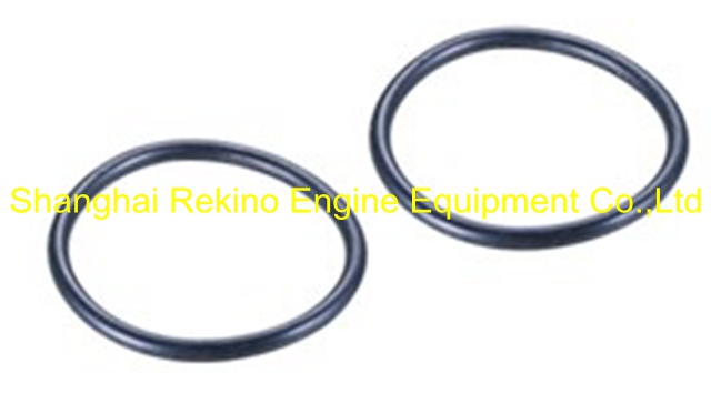 230.408.16 O ring for plunger Guangchai marine engine parts 230