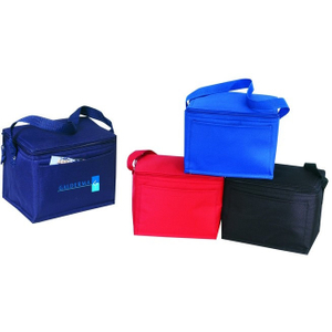 insulated 6 pack cooler bag