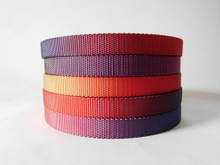 18mm multicolour nylon webbing for dog belt