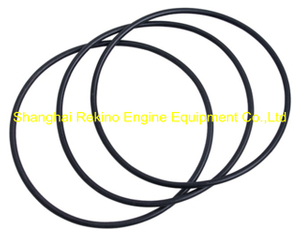 N.50.310 Oil filter ring Ningdong engine parts for N160 N6160 N8160