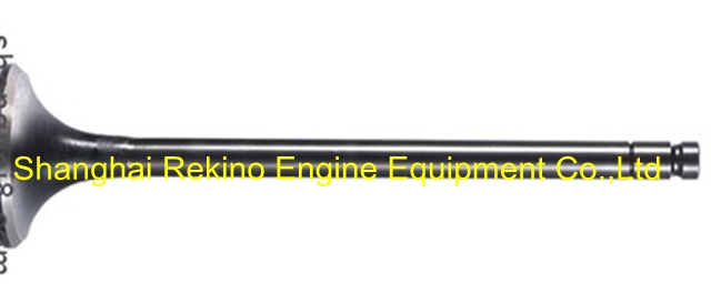 N17-01-045 intake valve Ningdong engine parts for N170 N6170 N8170