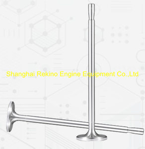 300.14.T08 Intake valve Zichai 6300 8300 engine parts