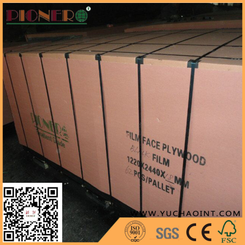 FILM FACED PLYWOOD 