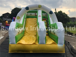 RB6105(5x2.5x3m) Inflatables Animal theme double slide