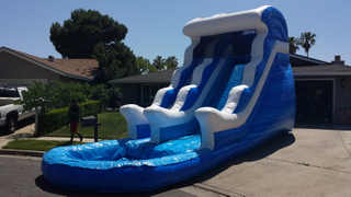 Giant PVC Inflatable Water Slides for Sale
