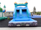 RB7011 (6x3.2x4m) Inflatable Small Sea World Theme Water Slide For Sale