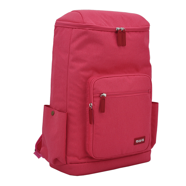 Large capacity travel backpack