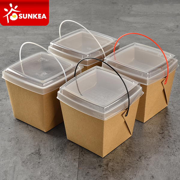 food storage box with handle