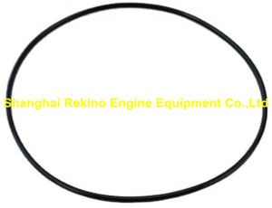 3047188 Cylinder liner seal O ring for Cummins QSM11 M11 ISM11 engine parts 