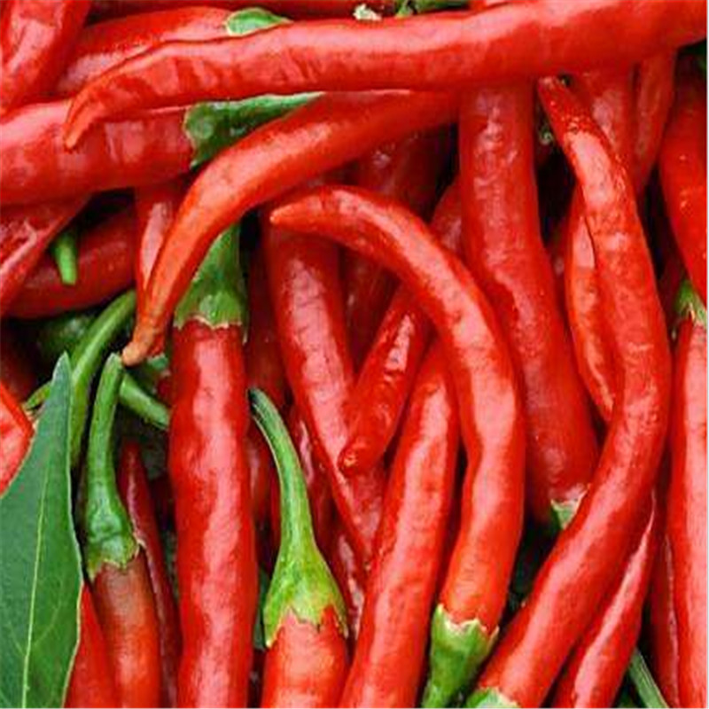 2019 Premium Grade Paprika Powder