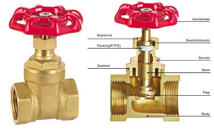 12 To 4 Npt Or Bsp Thread Brass Gate Valve 3630