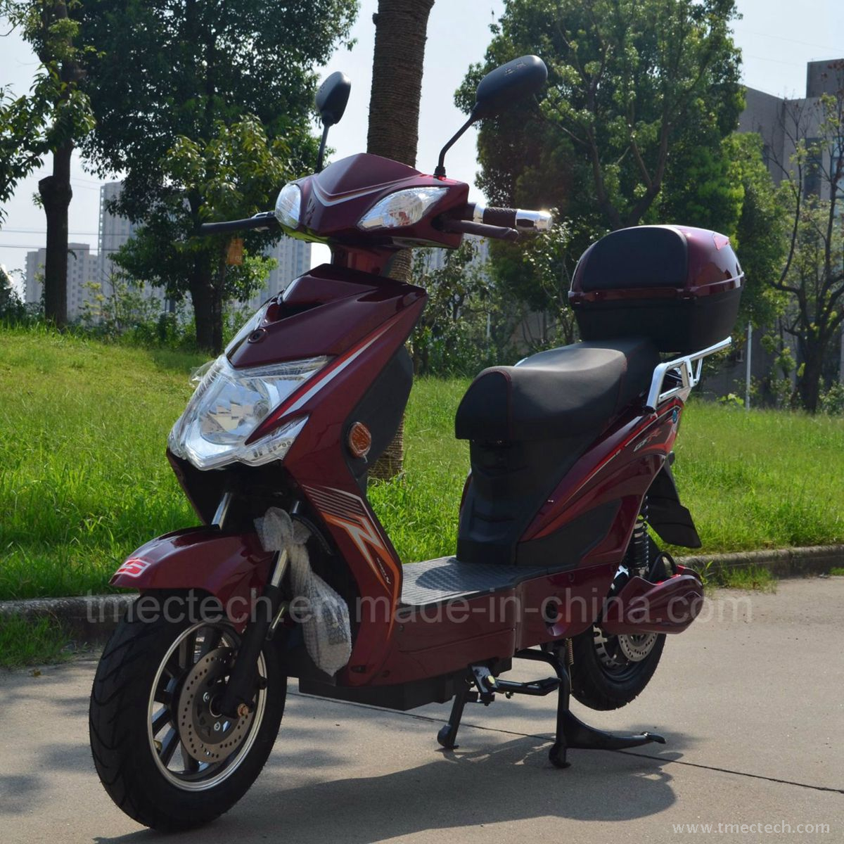 for Turkey Market 500 Watt Electric Scooter