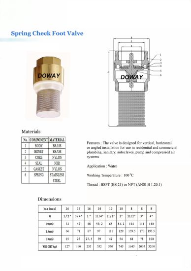 Válvula de retención de resorte de latón personalizado de fábrica de China