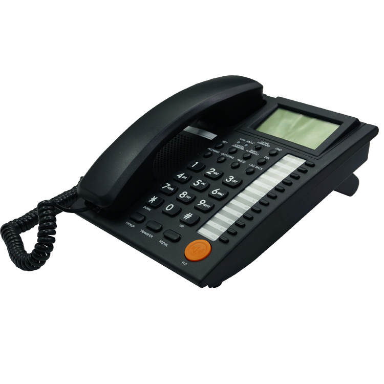 Analog Coded Phone PH206