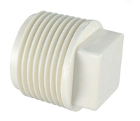 PVC Pipes and Fittings Plug