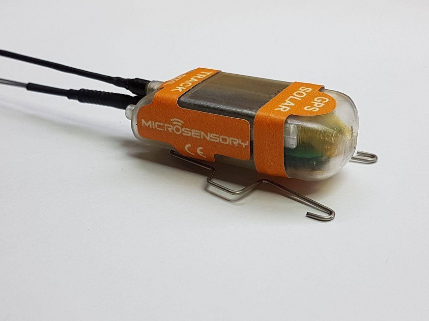 39985620_2056567697721123_699389824485818368_o