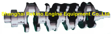 F3000-1005001 Yuchai engine parts Crankshaft