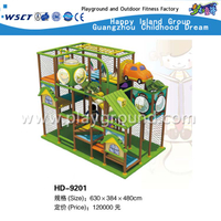 Sichere Indoor-Spielplatzgeräte für Kinder spielen (HD-9201)
