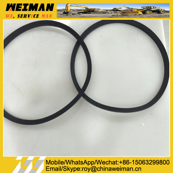 0750112141 WG180 4WG200 Transmission Spare Parts 0750112141 Sealing Ring 