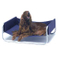 New Pet Bed Iron Dog Bed