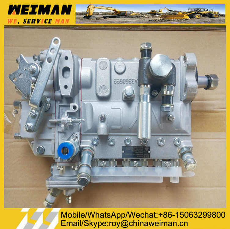 Engine Fuel Injection Pump 13068876/4110001525046 For Wheel Loader LG936 LG938