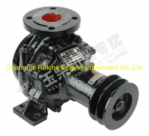 Yuchai engine parts sea water pump C5300-1315100