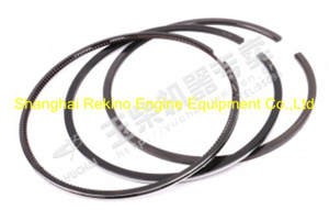 Yuchai engine parts piston ring TD600-1004040A