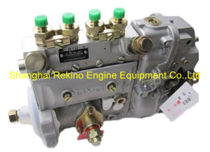 BYC Cummins 4B3.9-G1 Fuel injection pump 4946525 10400864073