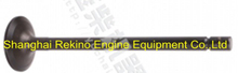 Yuchai engine parts intake valve M2A00-1003111C
