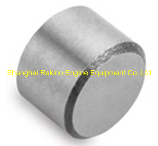 G-01-037 Valve cap Ningdong engine parts for DN320 DN8320