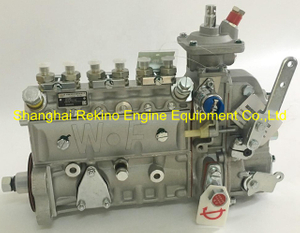 3974596 6A137 6A137-9.5 Weifu fuel injection pump for Cummins 6BT5.9-C160