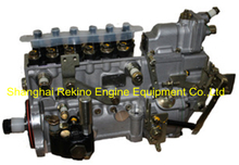 13037524 6P732 BHF6P120219 Weifu fuel injection pump for Weichai 226B WP6