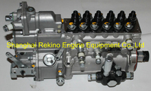 612601080380 6P1218 Weifu fuel injection pump for Weichai WP10.270NE31