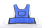 Wheelchair security constraint vest