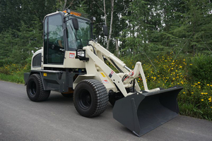 ZL08-800kg small loader with CE