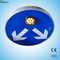 Solar LED round two direction sign