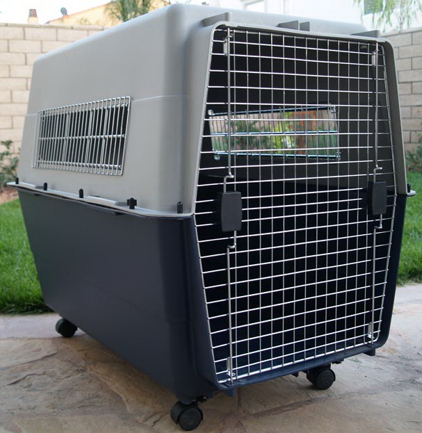 china-american-style-pet-air-travel-carrier-iata-pet-air-cage-dog