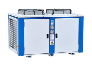 Unité de condensation refroidie par air de type boîte R404A / R22 utilisée pour la chambre froide 