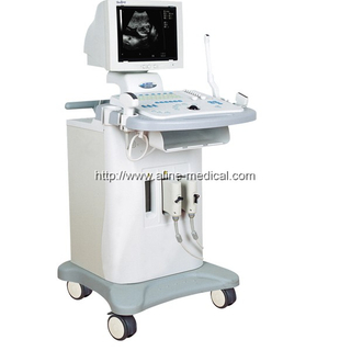 B/W Ultrasonic diagnostic system