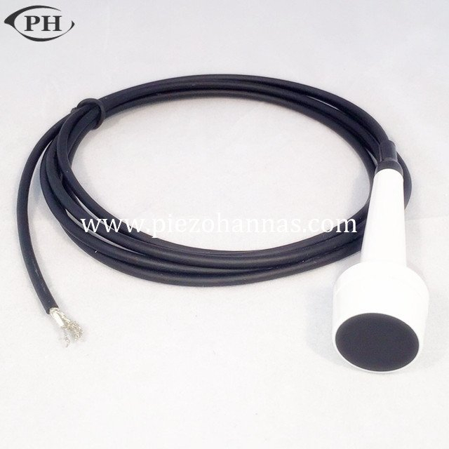 Punta de prueba médica de 4MHz TCD Doppler para la ensambladura de Craniocervical