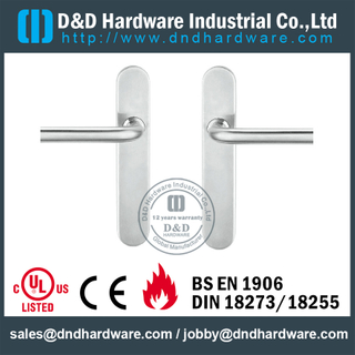 精铸款式面板门锁 - DDTP009
