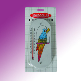 Indoor Thermometer