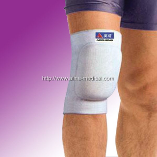 Knee guard