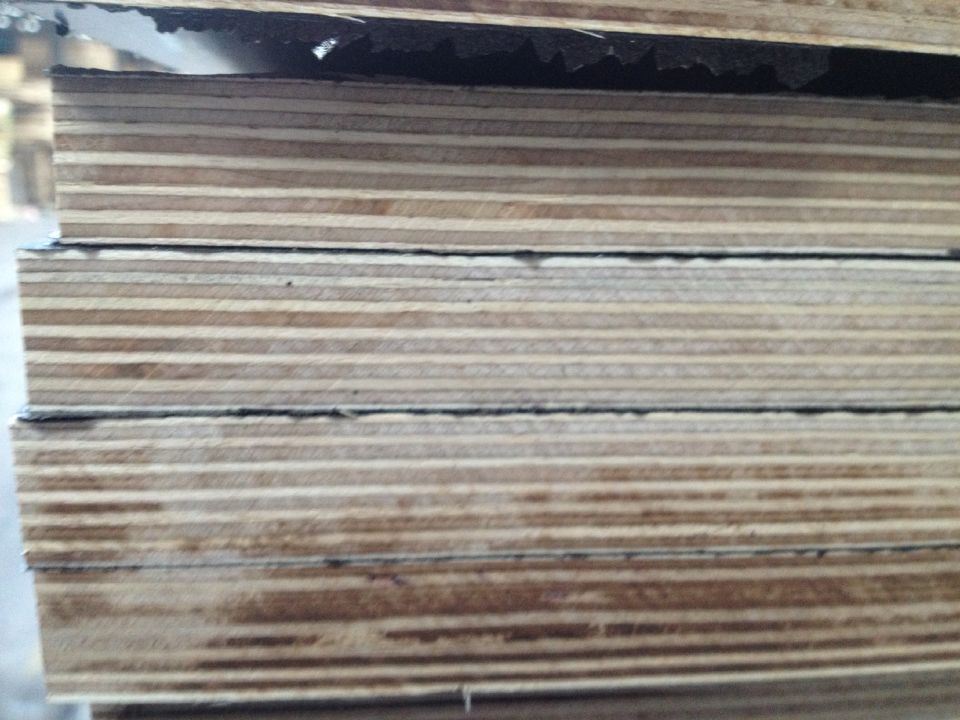 Birch Core Film Faced Plywood Made in China