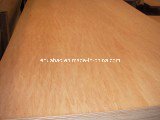 Okoume Plywood Poplar Core WBP Glue BB/CC Grade
