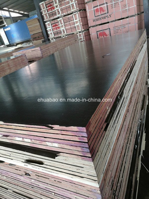 Marine Plywoods with Black Film Poplar Core 4*8 Size