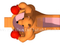 RB01054(5.4x7.4x6.2m) Inflatables Kangaroo jumpper bouncy 
