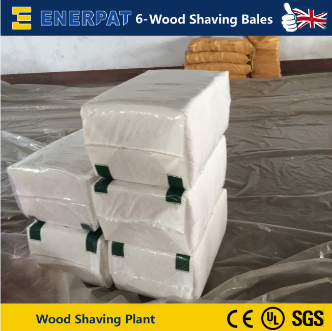 Enerpat Wood Shaving Plant Took From Customer6.png