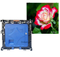 P2.0精细像素间距512x512mm UHD LED视频屏幕，带SMD1415 LED