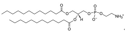 1,2-Dilauroyl-sn-glycero-3-phosphoethanolamine